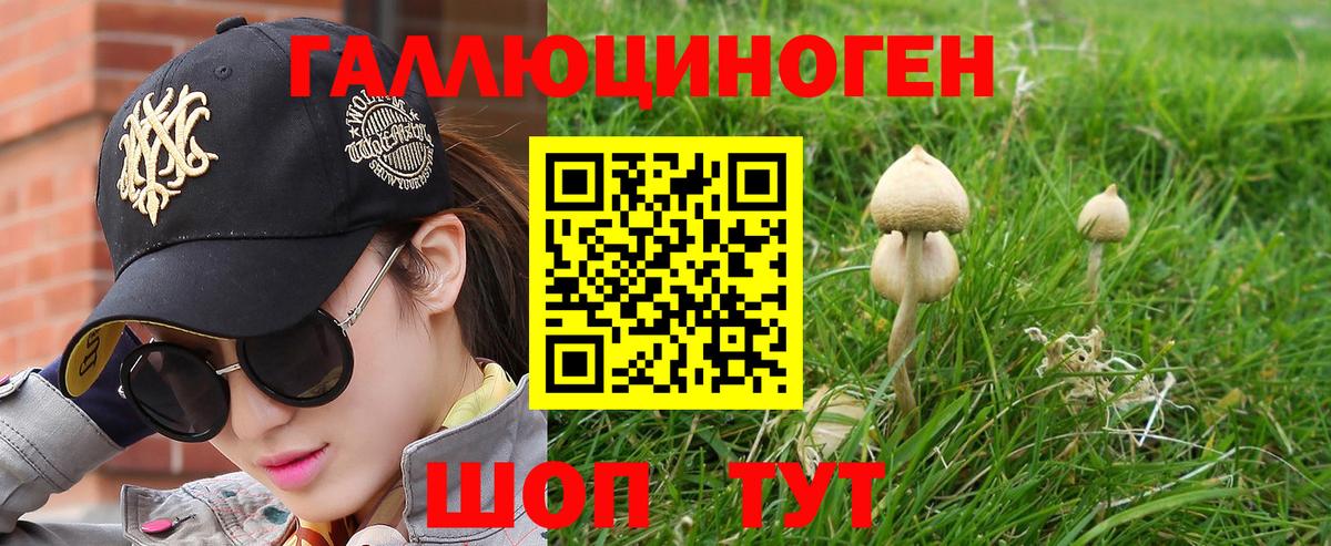 Псилоцибиновые грибы GOLDEN TEACHER Волжск