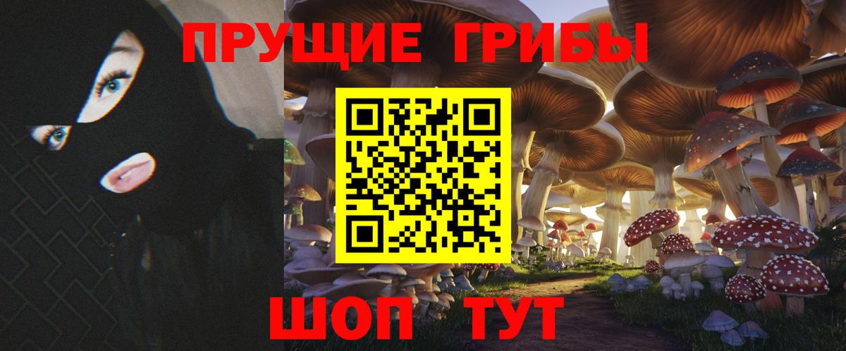 Волжск  магазин    Псилоцибиновые грибы прущие грибы  Вход с VPN  Псилоцибиновые грибы Psilocybine cubensis 